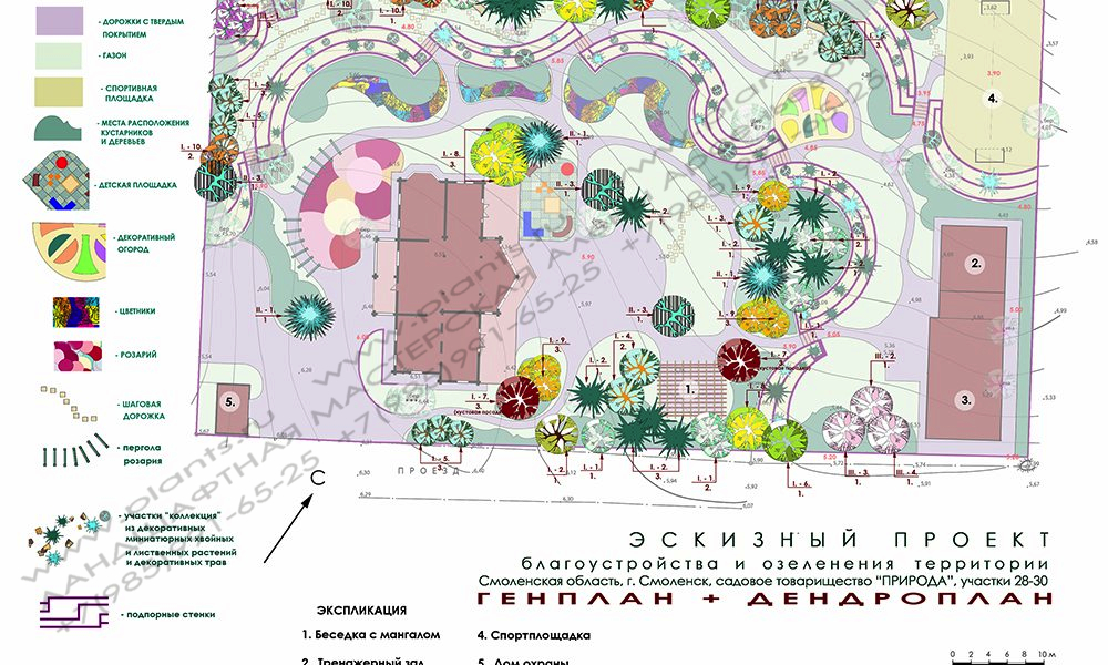 Проект участка - генплан с дендропланом